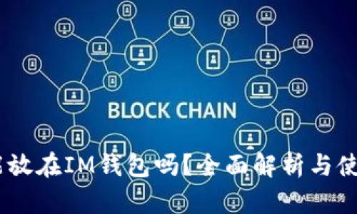USDT能放在IM钱包吗？全面解析与使用指南