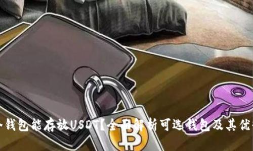 哪个钱包能存放USDT？全面解析可选钱包及其优缺点