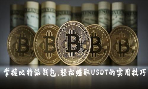 掌握比特派钱包，轻松赚取USDT的实用技巧