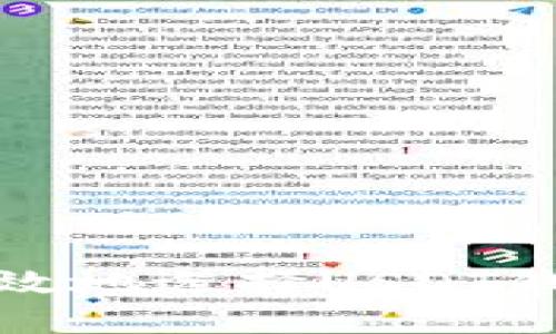 如何安全高效地选择USDT钱包交易网址