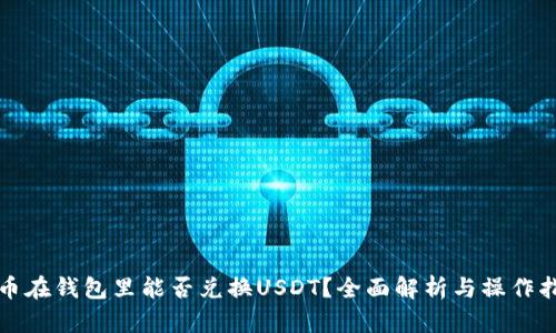 屎币在钱包里能否兑换USDT？全面解析与操作指南