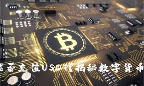 深入了解：钱包能否充值USDT？揭秘数字货币钱包的操作技巧