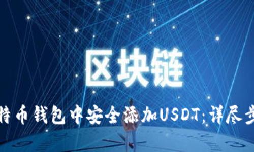 如何在比特币钱包中安全添加USDT：详尽步骤与建议