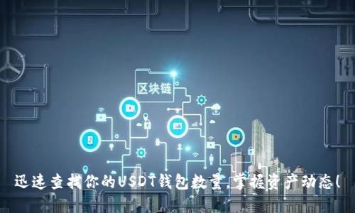 迅速查找你的USDT钱包数量，掌握资产动态！