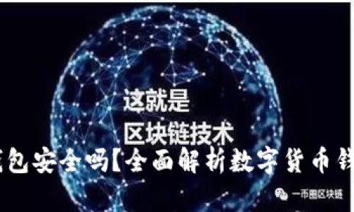 USDT放在钱包安全吗？全面解析数字货币钱包的安全性