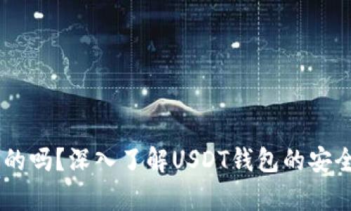 USDT钱包是真的吗？深入了解USDT钱包的安全性与使用体验