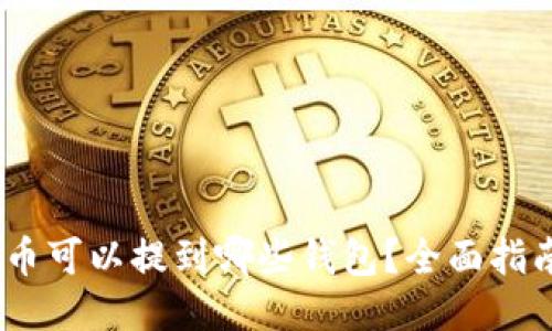 USDT提币可以提到哪些钱包？全面指南与推荐