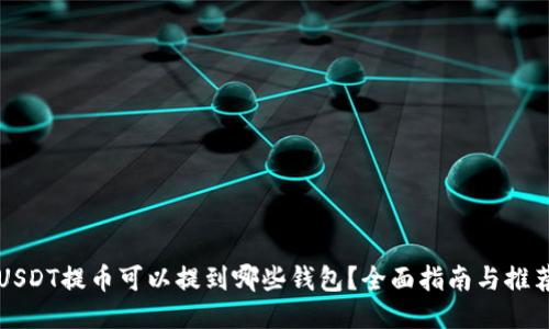 USDT提币可以提到哪些钱包？全面指南与推荐