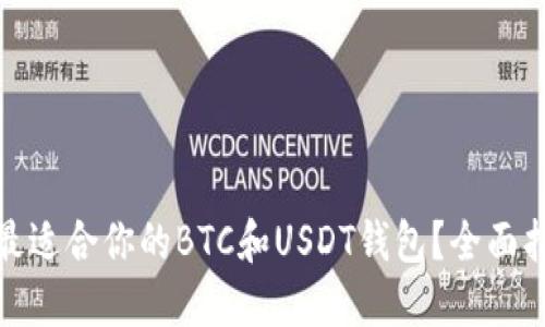 如何选择最适合你的BTC和USDT钱包？全面指南与比较