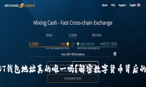 : USDT钱包地址真的唯一吗？解密数字货币背后的秘密！